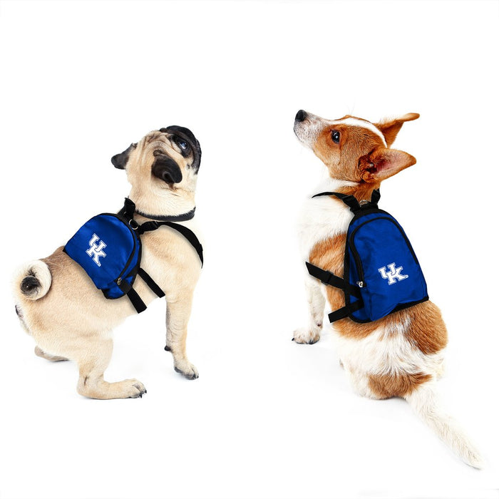 Kentucky Dog Jerseys, Kentucky Wildcats Pet Carriers, Harness, Bandanas,  Leashes
