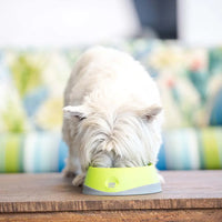 LickiMat OH Bowl for Dogs