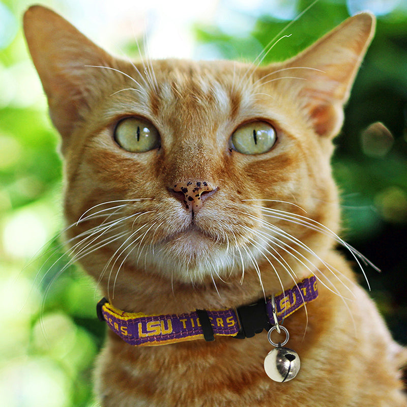 LSU Tigers Cat Collar - 3 Red Rovers