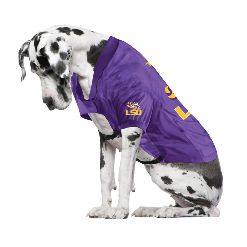 Dog tigers deals jersey