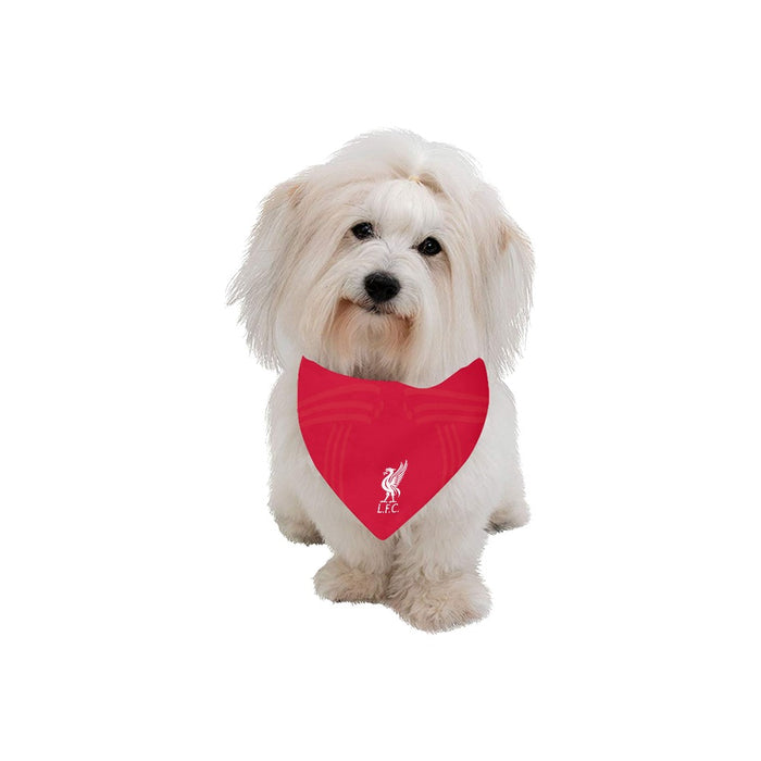 Liverpool FC Premium Bandana - 3 Red Rovers
