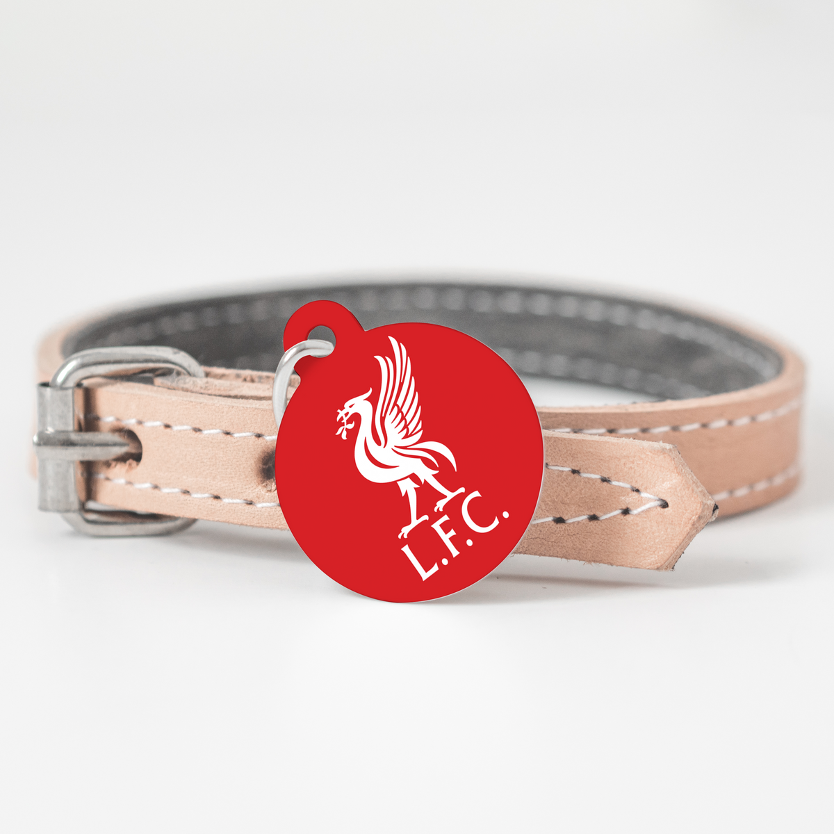 Clemson 2024 dog tag