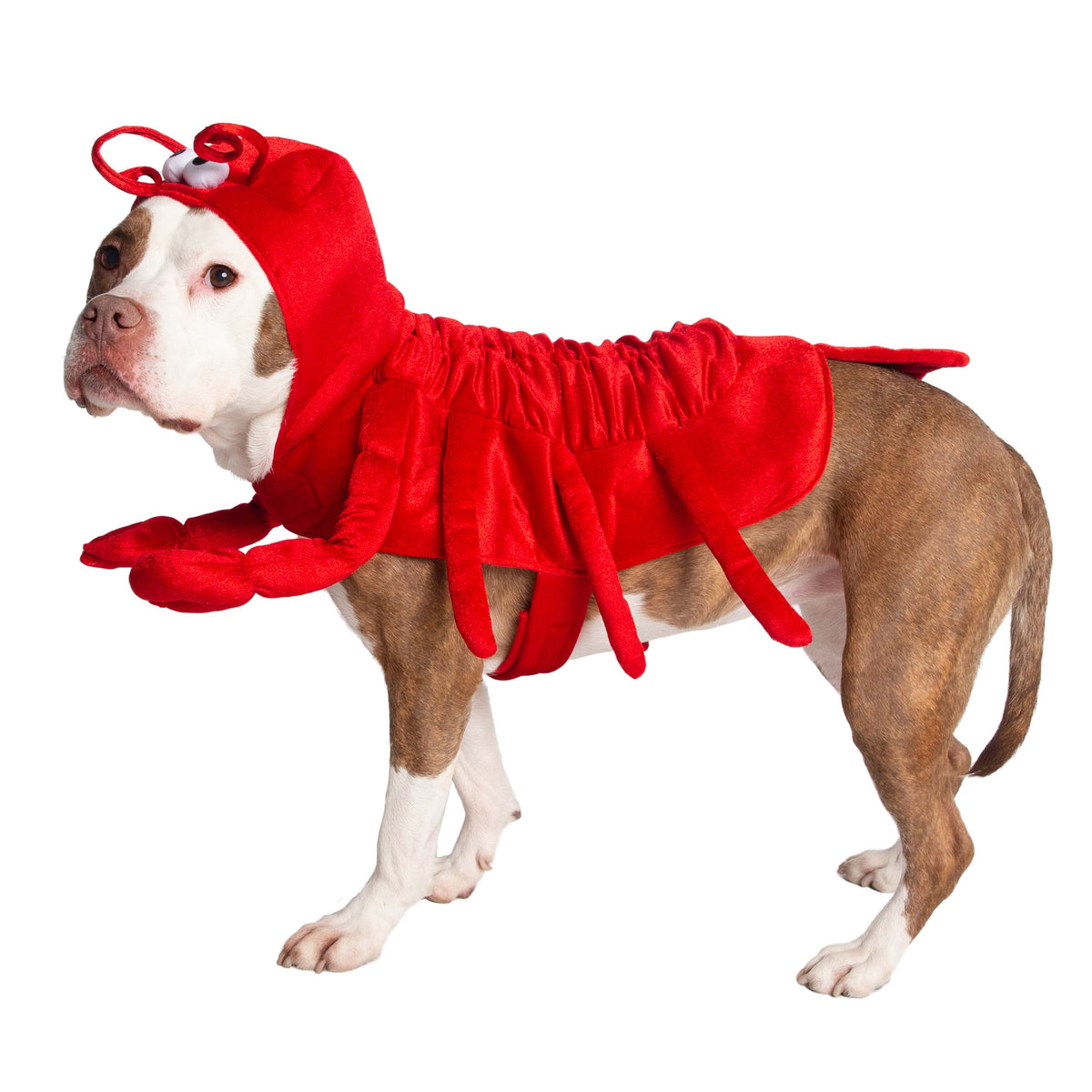 Lobster Pet Costume - 3 Red Rovers