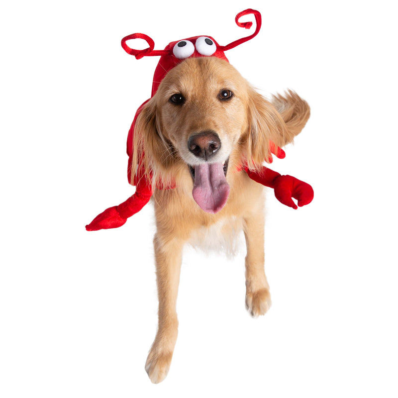 Lobster Pet Costume - 3 Red Rovers