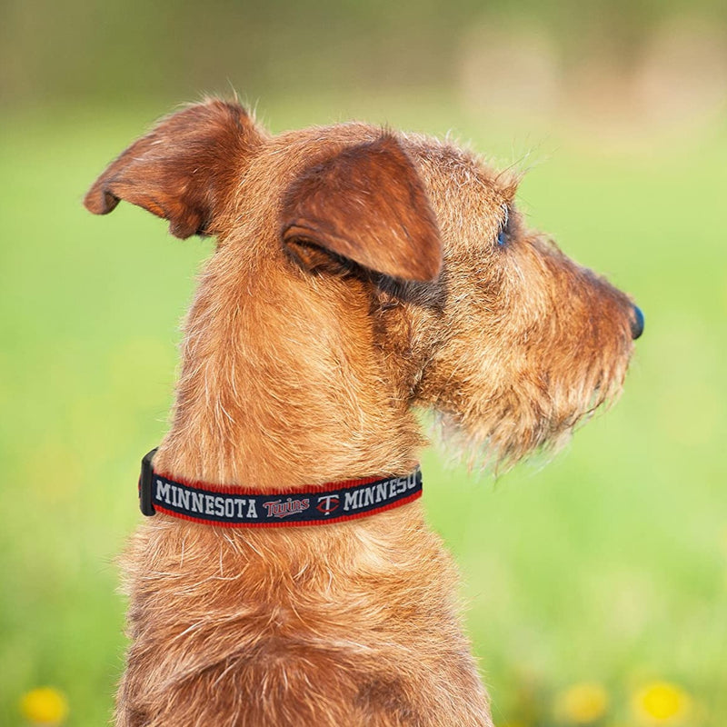 Minnesota Twins Dog Collar or Leash - 3 Red Rovers
