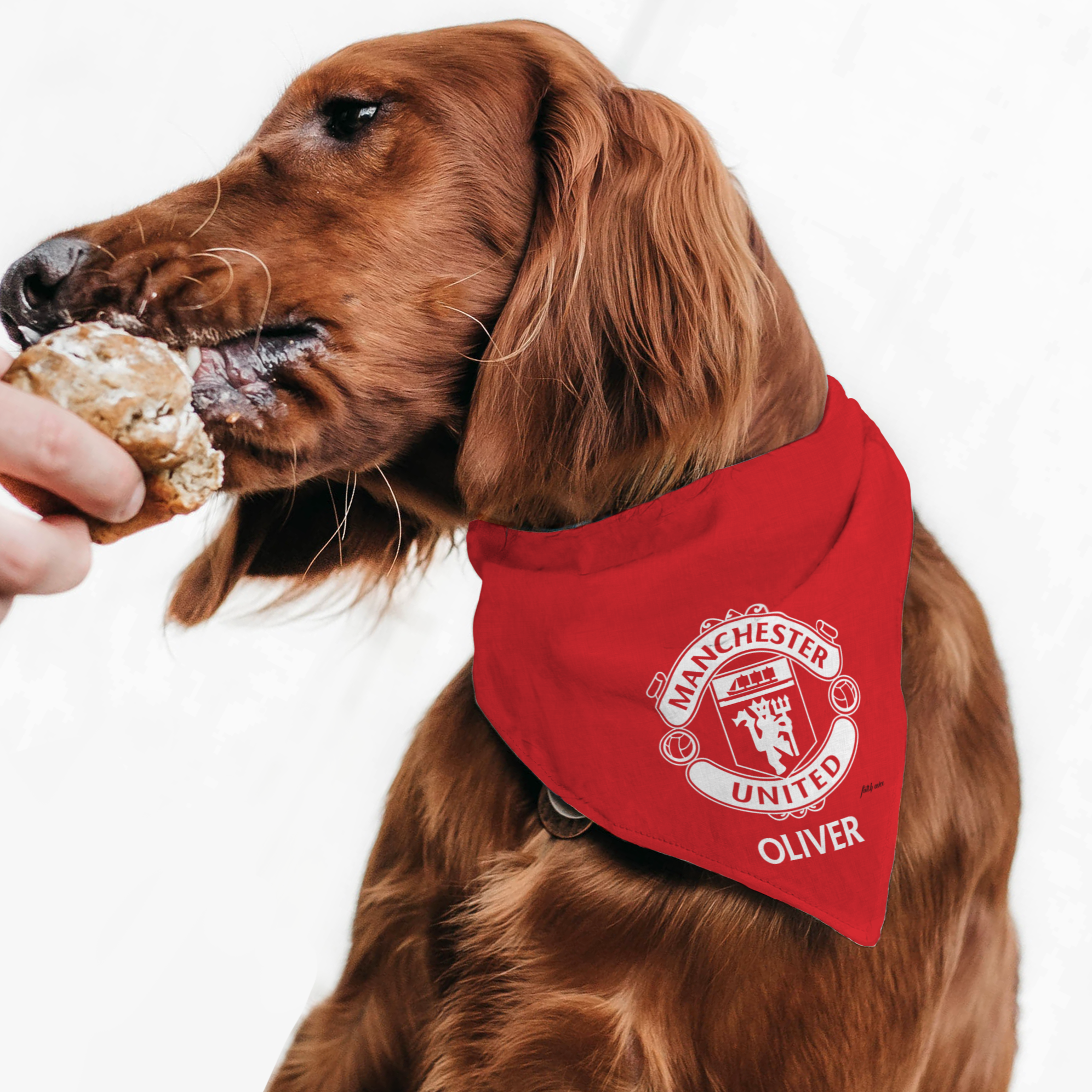 Man utd top dog shirt