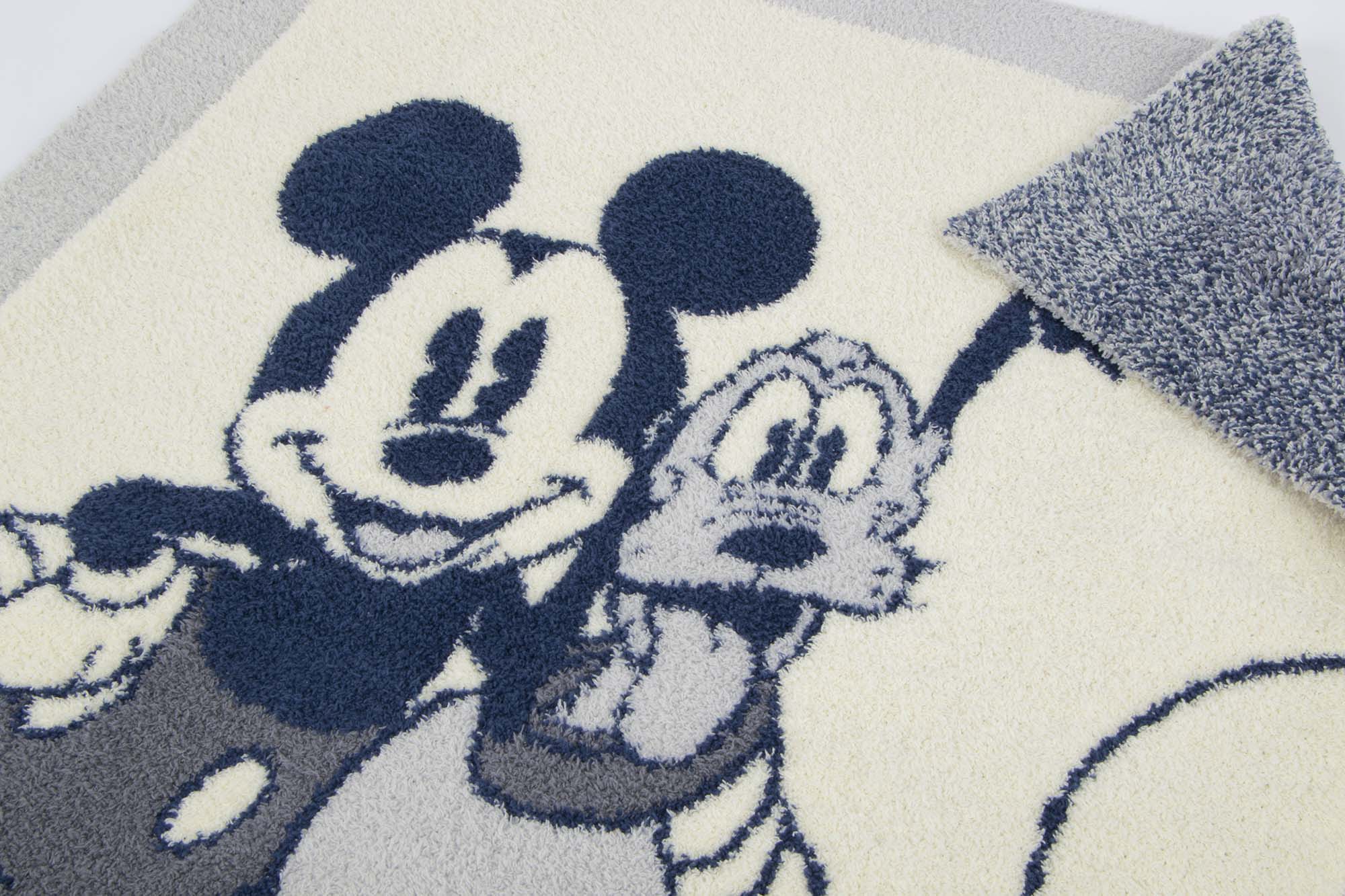 Disney discount up blanket