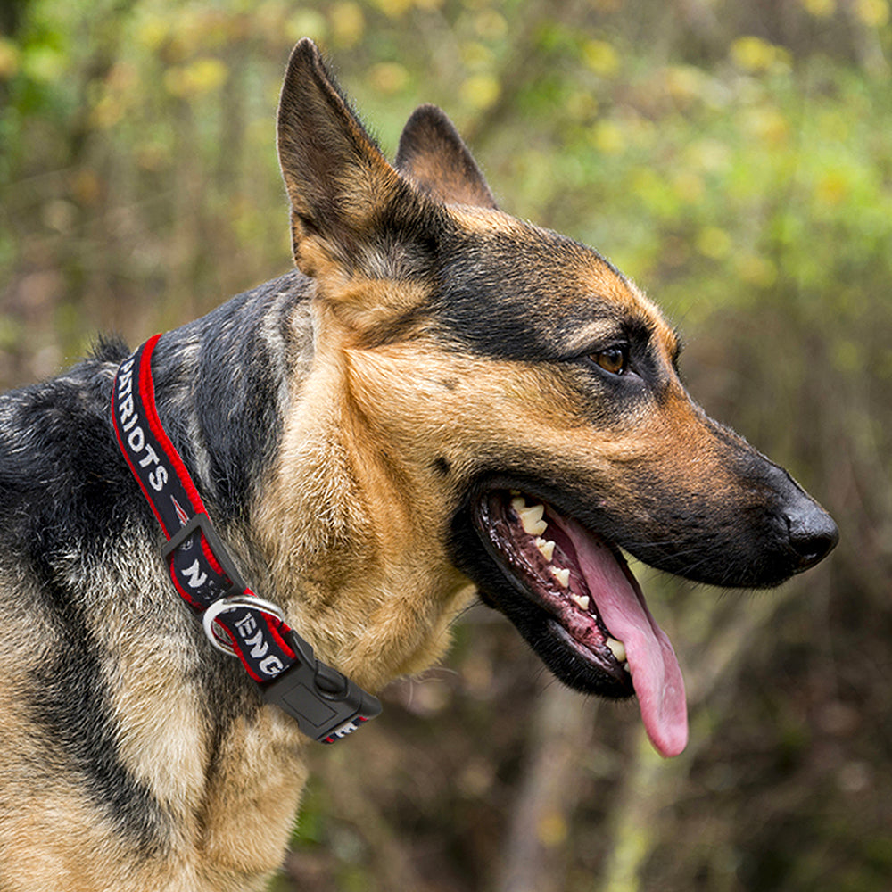 New England Patriots Dog Collar or Leash