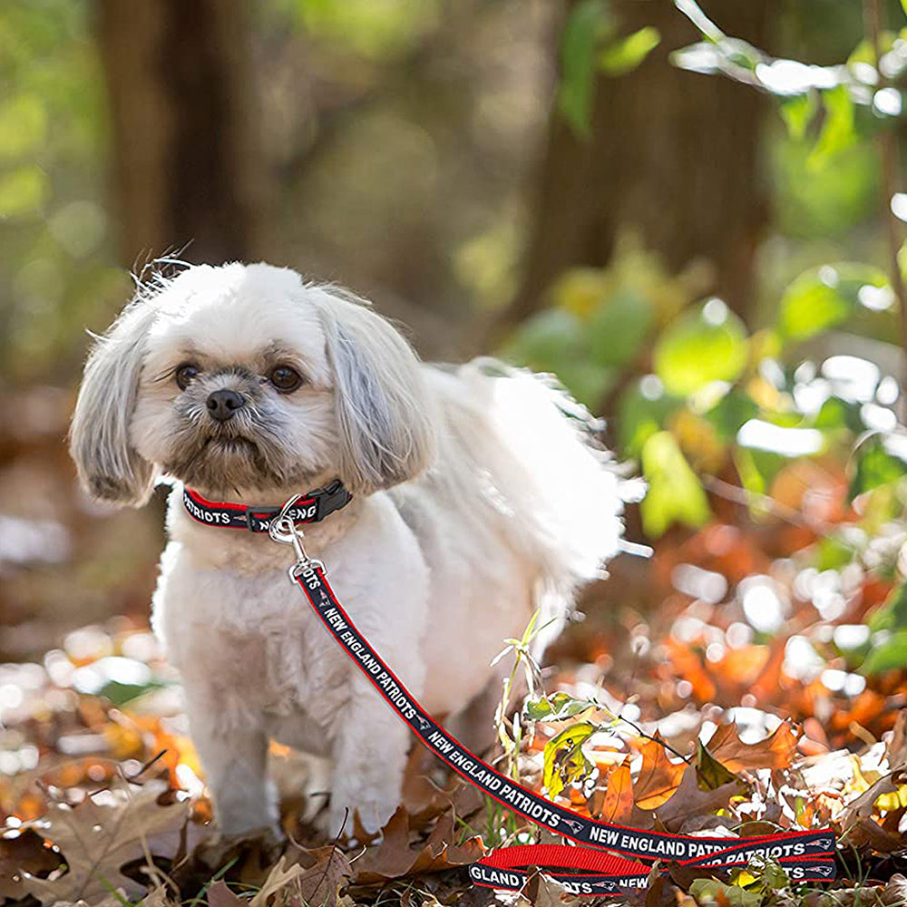 Patriots dog clearance collar