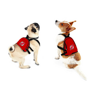 New Jersey Devils Pet Mini Backpack - 3 Red Rovers