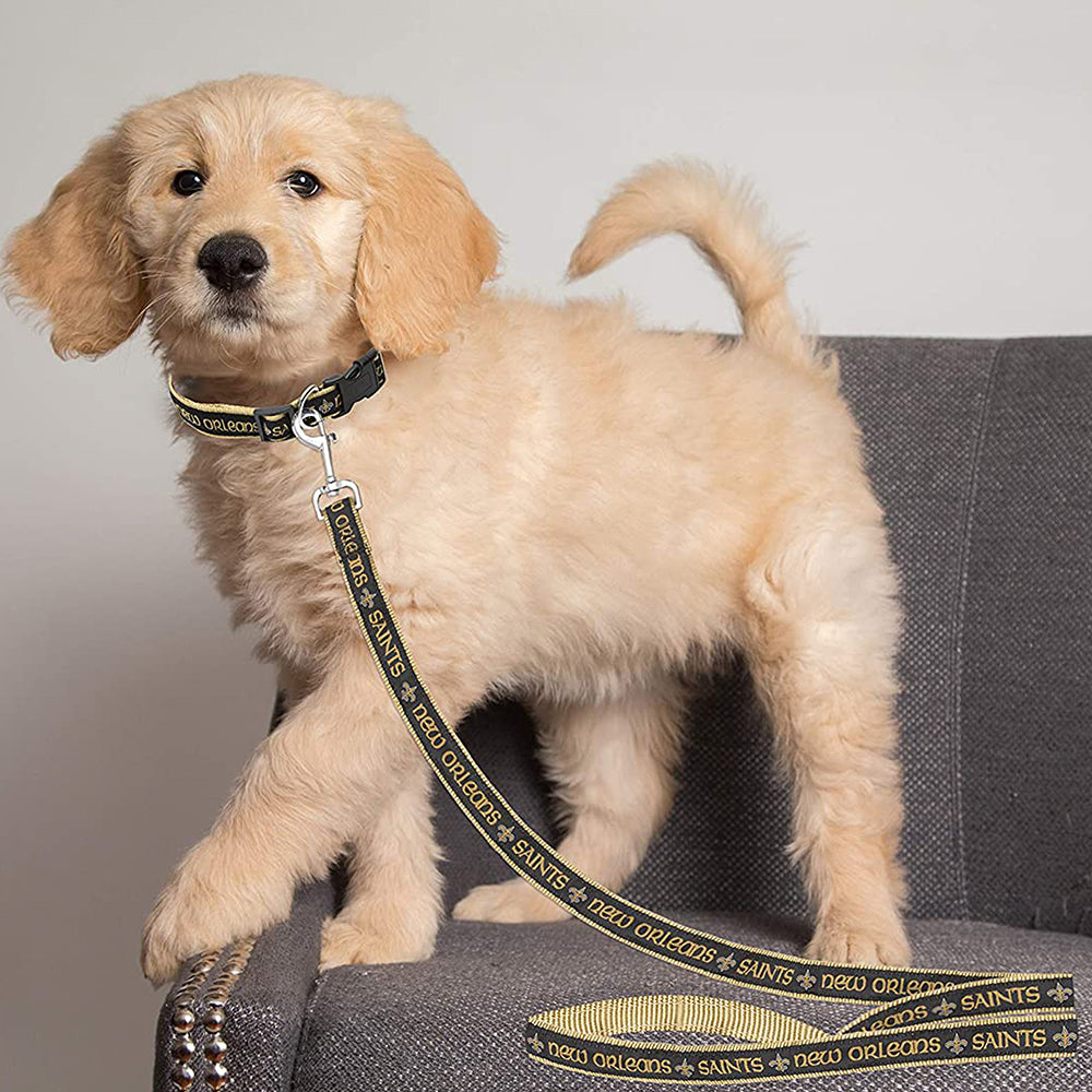 Saints dog collar new arrivals