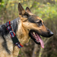 New York Islanders Dog Collar or Leash - 3 Red Rovers