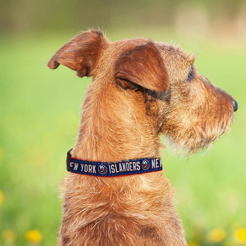 New York Islanders Dog Collar or Leash - 3 Red Rovers