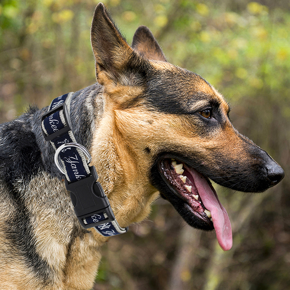 Ny yankees 2024 dog collar