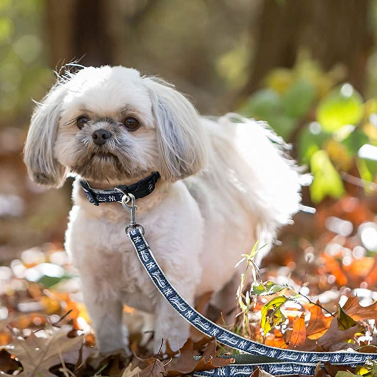 Mets best sale dog harness