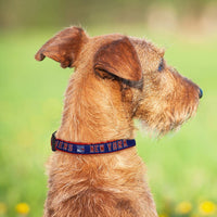 New York Rangers Dog Collar or Leash - 3 Red Rovers