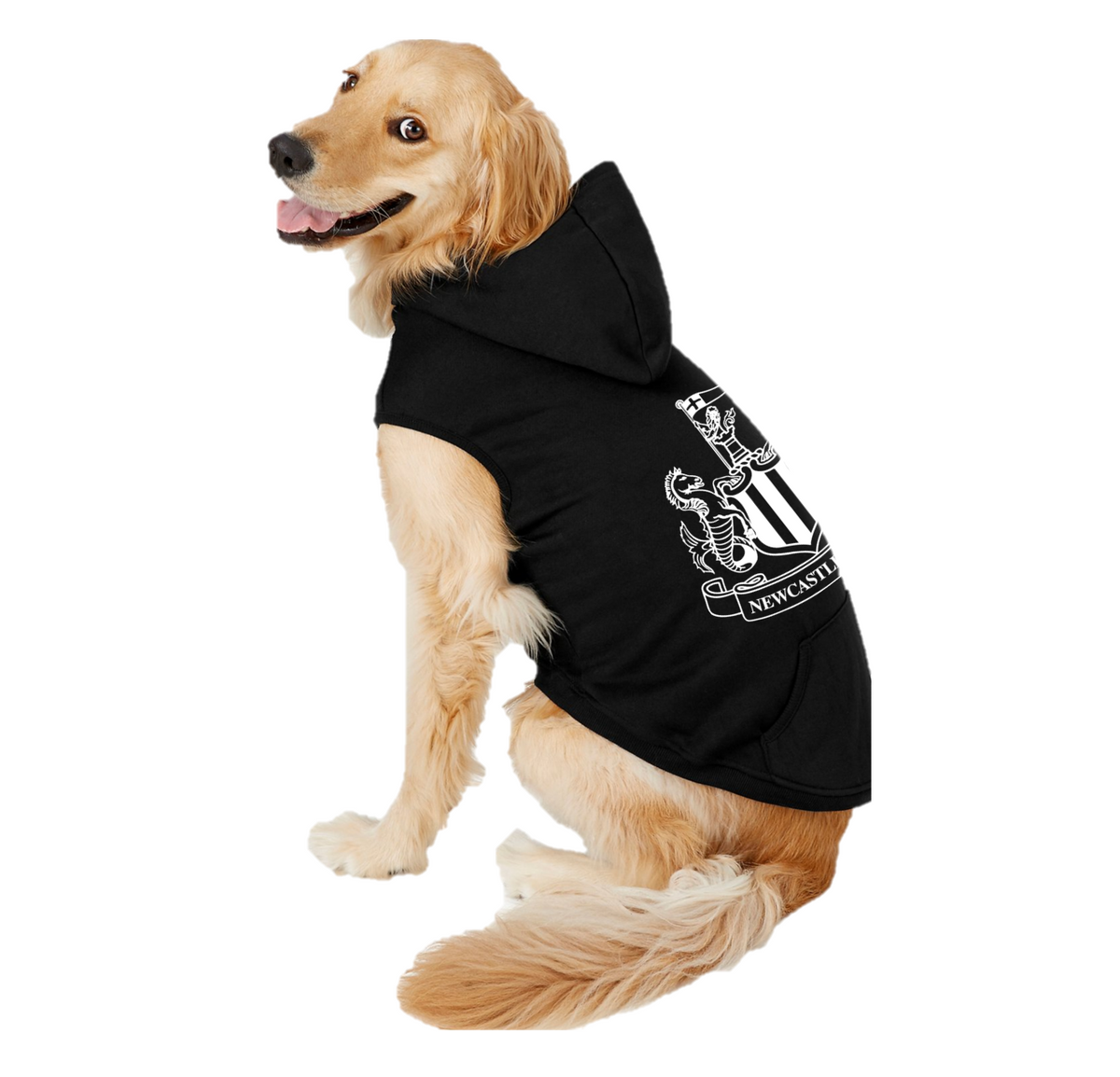 Dog patriots hoodie sales