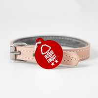Nottingham Forest FC Handmade Pet ID Tag - 3 Red Rovers