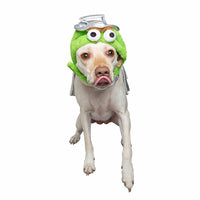 Oscar the Grouch licensed Pet Costume - 3 Red Rovers