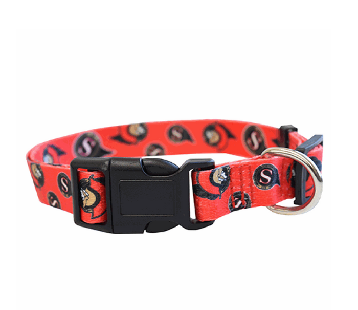 Dog outlet collars ottawa