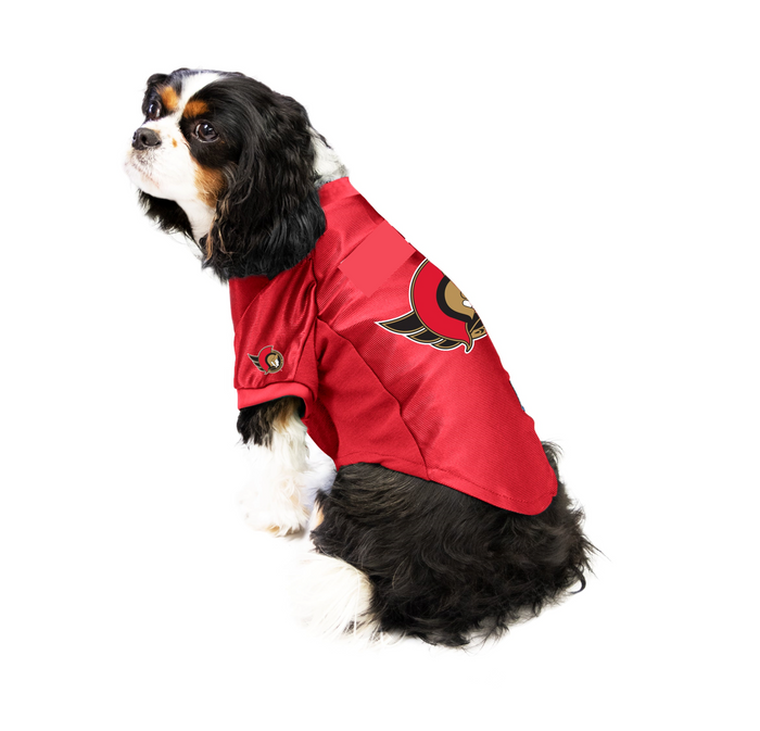 Ottawa senators dog jersey sales