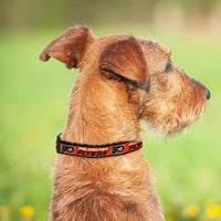 Philadelphia Flyers Dog Collar or Leash - 3 Red Rovers
