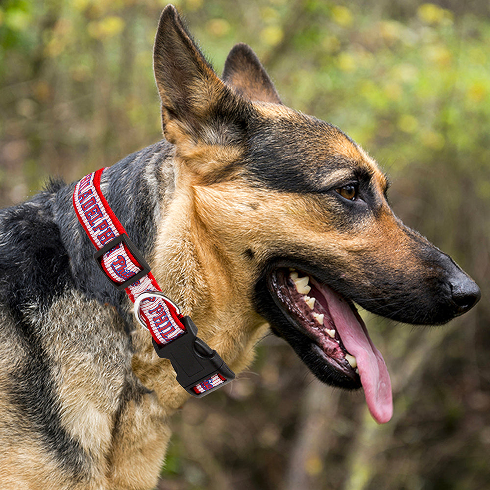 Phillies dog outlet collar