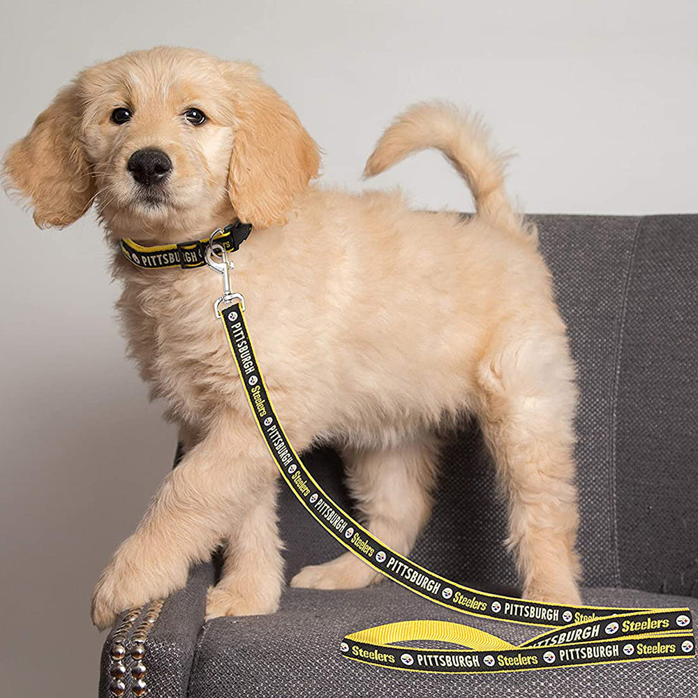 Steelers dog hotsell collar and leash