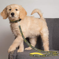 Pittsburgh Steelers Woven Dog Leash