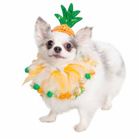 Pineapple Hat and Collar Set Pet Costume - 3 Red Rovers