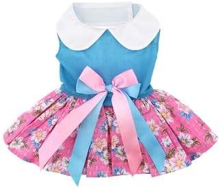 Pink and Blue Plumeria Floral Dress with Leash - 3 Red Rovers