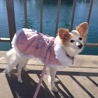 Pink Houndstooth Harness Coat and Leash - 3 Red Rovers