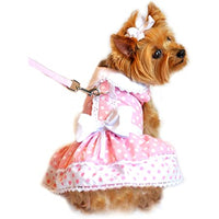 Pink Polka Dot and Lace Dress with Leash - 3 Red Rovers