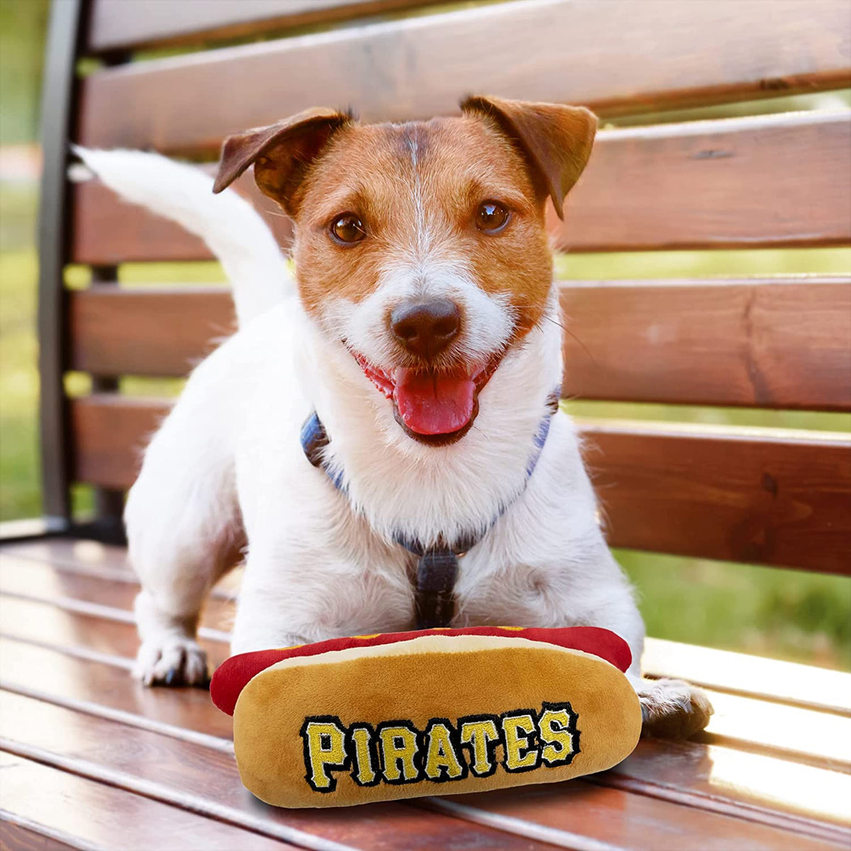 Pittsburgh Pirates Dog Collar