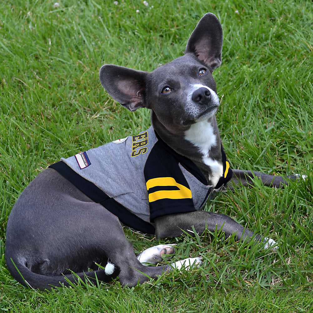 Pittsburgh Steelers Lightweight Pet Hoodie