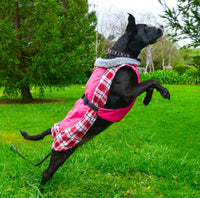 Alpine All Weather Coat - Raspberry Plaid - 3 Red Rovers