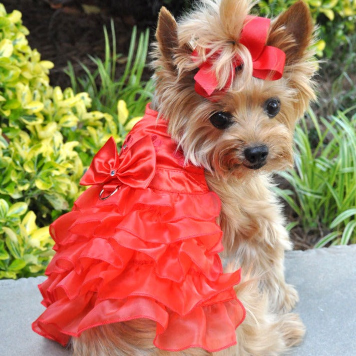 Red Satin Ruffled Harness Dress with Leash - 3 Red Rovers