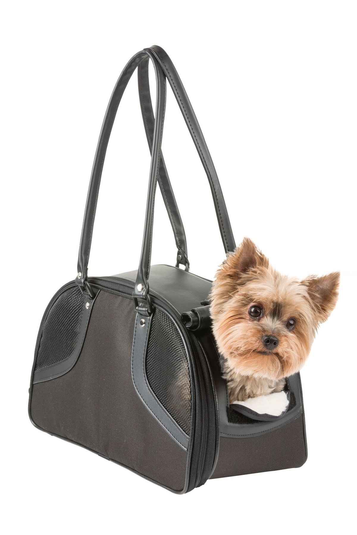 Roxy Black Carrier - 3 Red Rovers