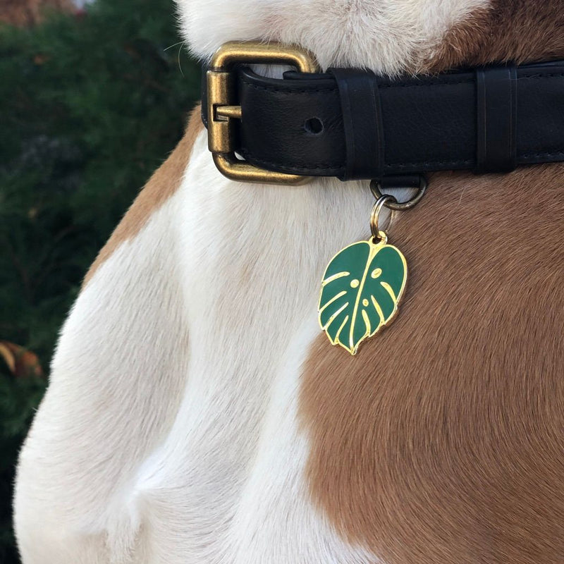 Monstera Leaf Pet ID Tag - 3 Red Rovers