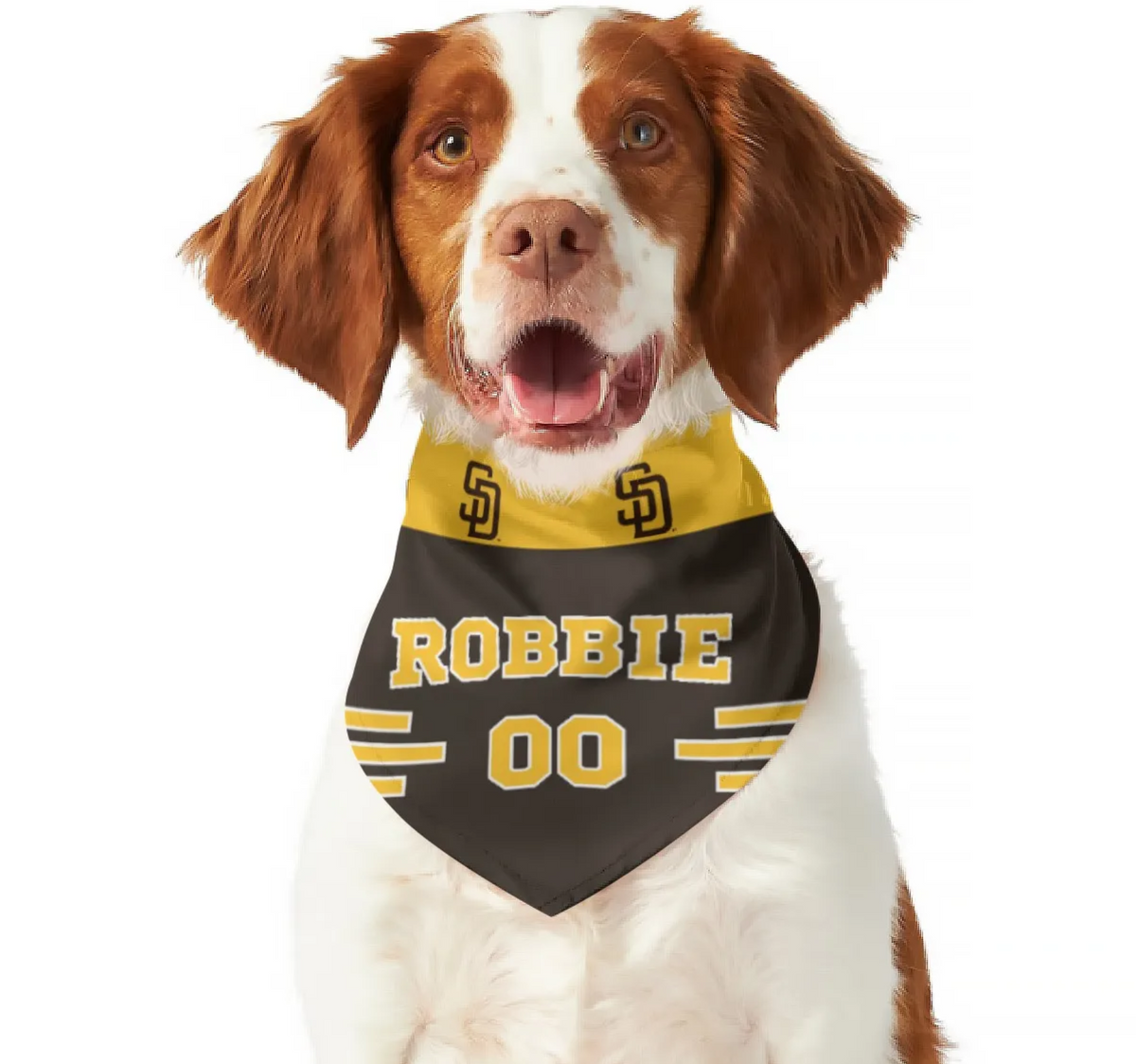 Boston Bruins - Team Colors Dog Jersey, LG / Red