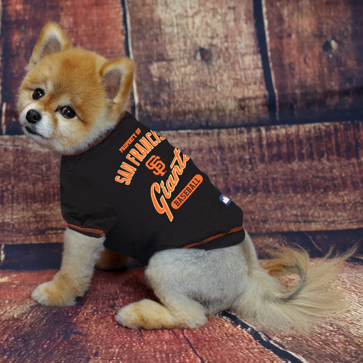 Pets First San Francisco Giants Throwback Small Dog Jersey | Petco