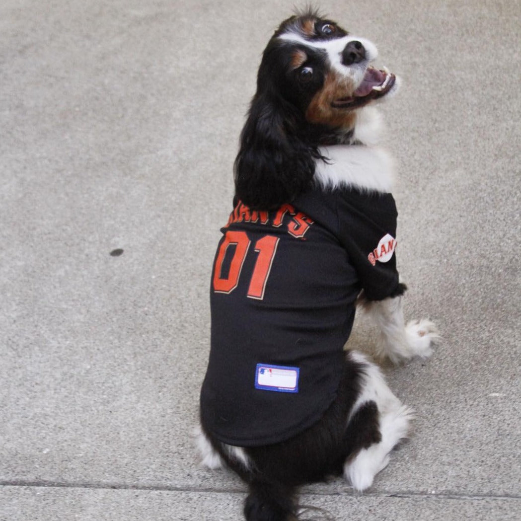 Pets First MLB San Francisco Giants Tee Shirt for Dogs & Cats. Officially  Licensed - Small