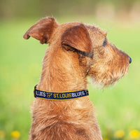 St Louis Blues Dog Collar or Leash - 3 Red Rovers