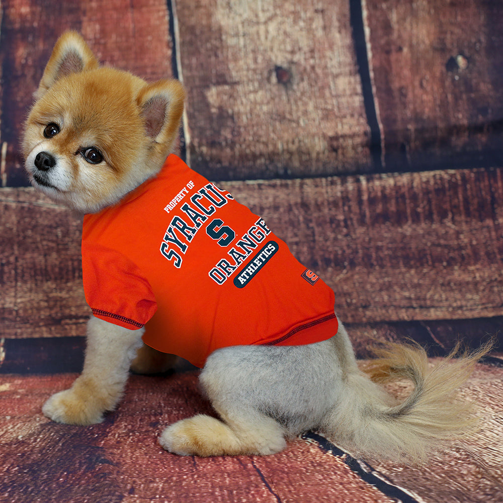 Syracuse hot sale dog sweater