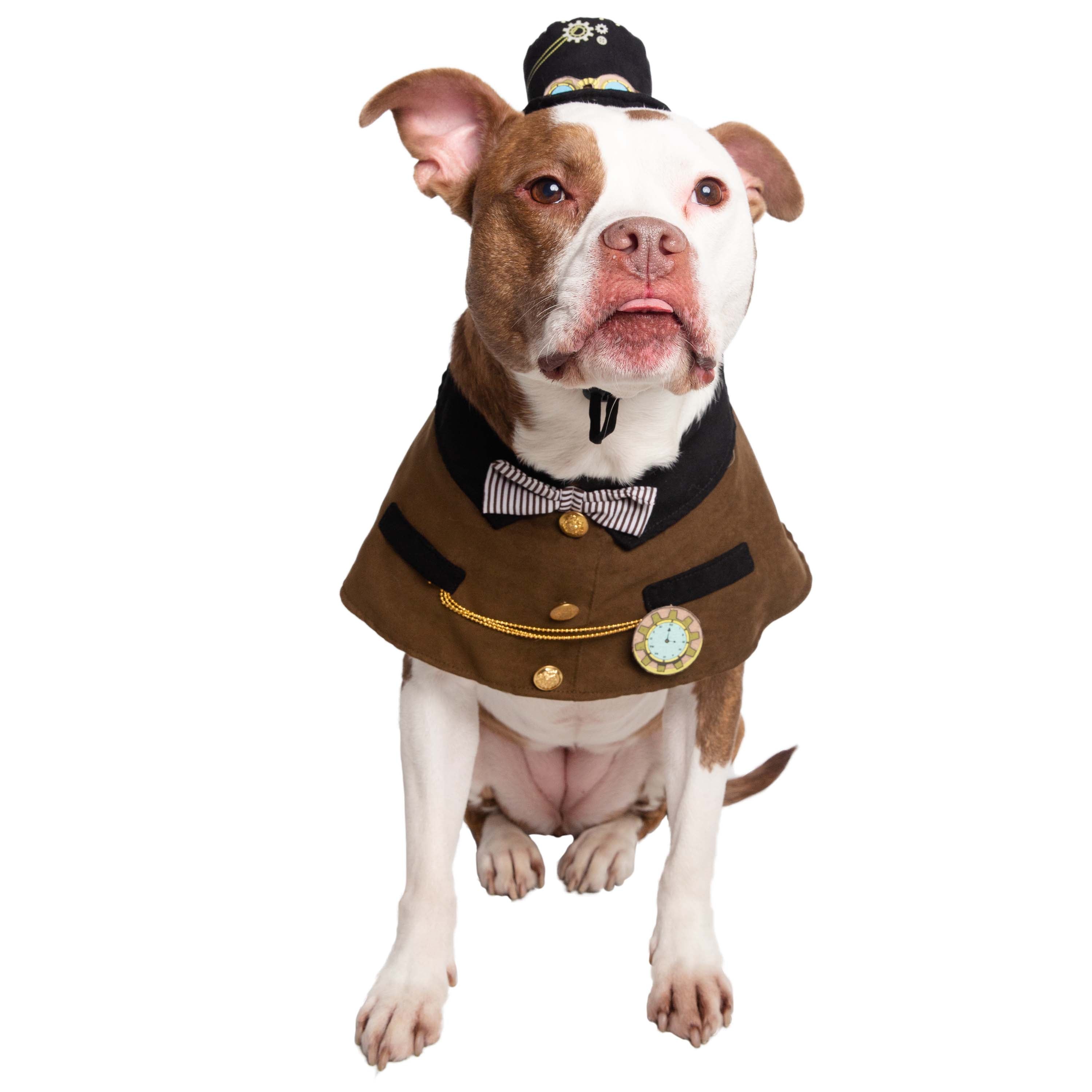 Steampunk hotsell dog costume