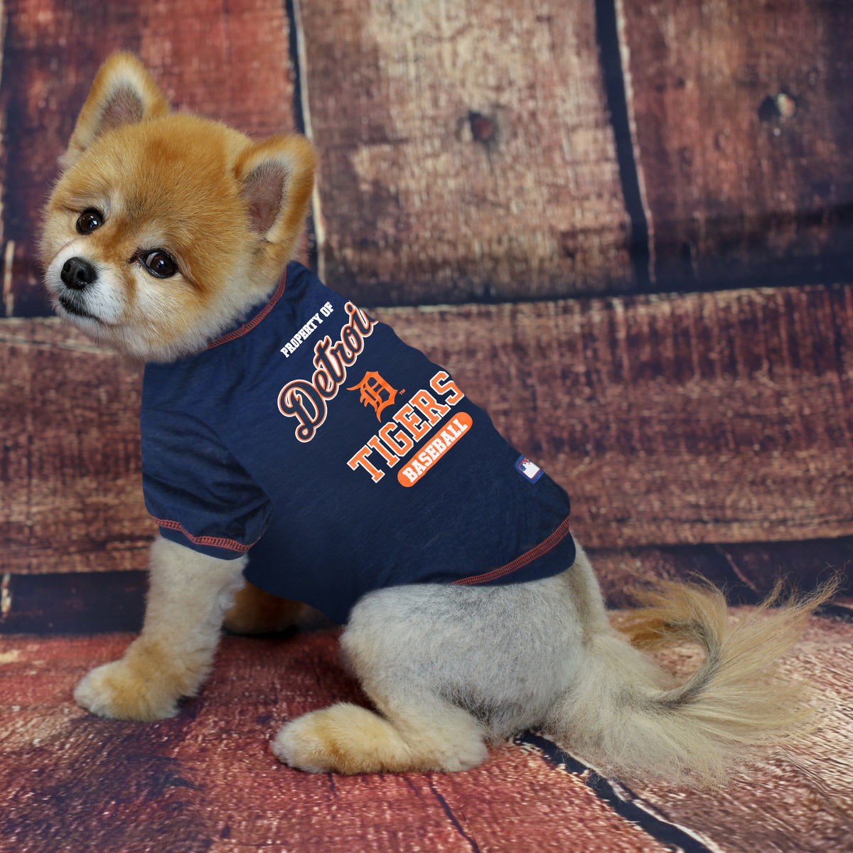 Boston Red Sox Dog Tee Shirt - Small