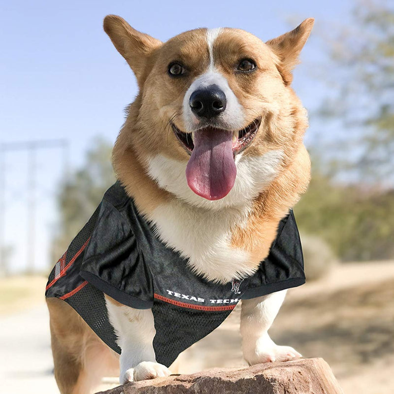 TX Tech Red Raiders Pet Jersey - 3 Red Rovers