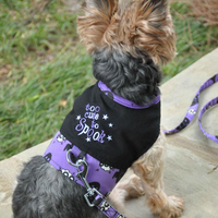Too Cute to Spook Harness Vest Costume with Leash - 3 Red Rovers