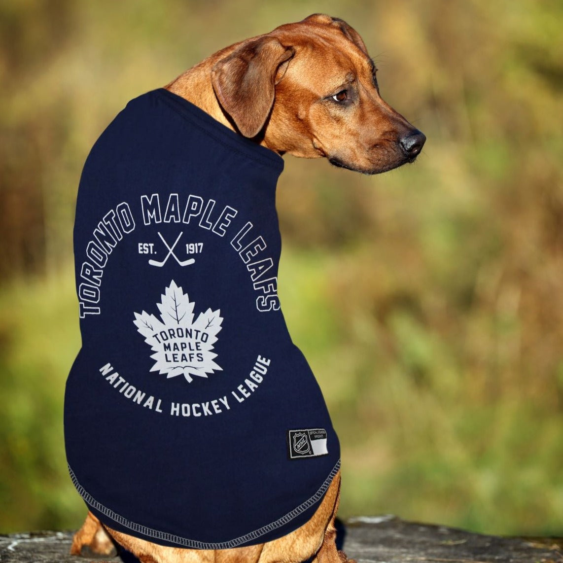 Maple leafs dog sweater best sale