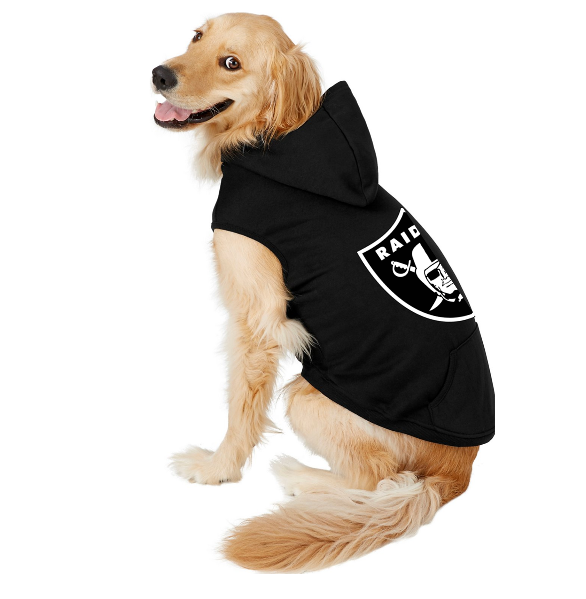 Raiders online dog clothes